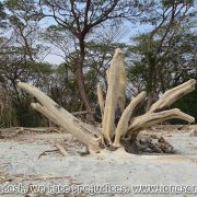 Tengragiri Wildlife Sanctuary